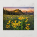 Search for crested butte postcards Mountain