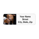 Search for pigs return address labels Pork
