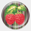 Search for raspberries stickers Illustration