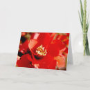 Search for pomegranates cards Flower