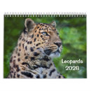 Search for leopard calendars Snow