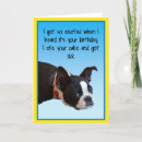 Search for boston terrier birthday cards Animal