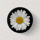 Search for innocence badges Cute