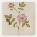 Search for made in 88 stickers Moyne