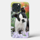 Search for boston terrier dog iphone cases Pet