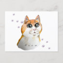Search for cat face postcards Cats