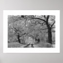 Search for black oak tree art Rural