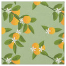 Search for citrus fabric Fruit pattern