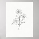 Search for cosmos art Floral