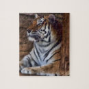 Search for tiger puzzles Safari