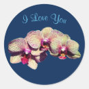 Search for orchids stickers Floral