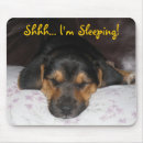 Search for dog sleeping mousepads Photography