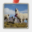 Search for lama christmas tree decorations Animal