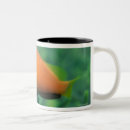 Search for one fish two fish mugs Sealife