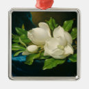 Search for magnolia flower christmas tree decorations Magnolias