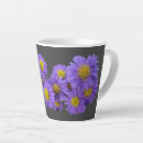 Search for michaelmas Michaelmas daisy