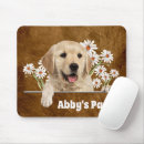 Search for brown puppy electronics Cute