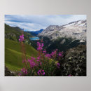 Search for col posters Italy