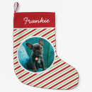 Search for red and green christmas stockings Pet photo