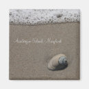 Search for clam magnets Seashell