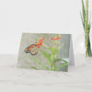 Search for monarch butterfly cards Orange and black