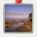 Search for olympic national park christmas tree decorations Pacific