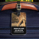 Search for parents travel accessories Cute