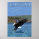 Search for original eagle posters Lantern