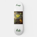 Search for frog skateboards Cute