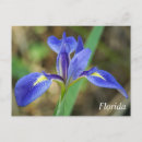 Search for irie postcards Blue iris