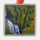 Search for forest green christmas tree decorations Nature