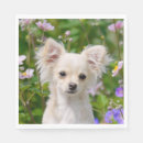 Search for cute chihuahua napkins Puppy