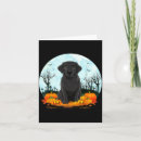 Search for corn lover cards Night owl
