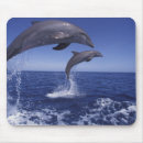 Search for jumping dolphin mousepads Playful