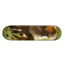 Search for primate skateboards Baboon