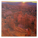 Search for jaynes gallery tiles Np