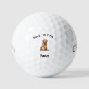 Search for golden retriever golf equipment Pet