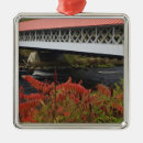 Search for spanning christmas tree decorations River
