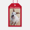 Search for cute reindeer gift tags Happy