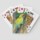 Search for costa rica playing cards Colourful