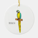 Search for macaw christmas tree decorations Bird