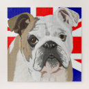 Search for english bulldog puzzles British