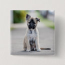Search for german shepherd gifts Puppy