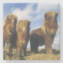 Search for group coasters Cute
