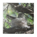 Search for bird nest tiles Nesting