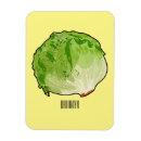 Search for lettuce magnets Veggies