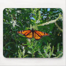 Search for butterfly mousepads Wildlife