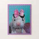 Search for ferret puzzles Cute