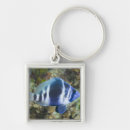 Search for fish swimming key rings Blue