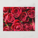 Search for print on demand postcards Design online